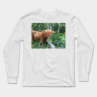 Scottish Highland Cattle Cow 2042 Long Sleeve T-Shirt